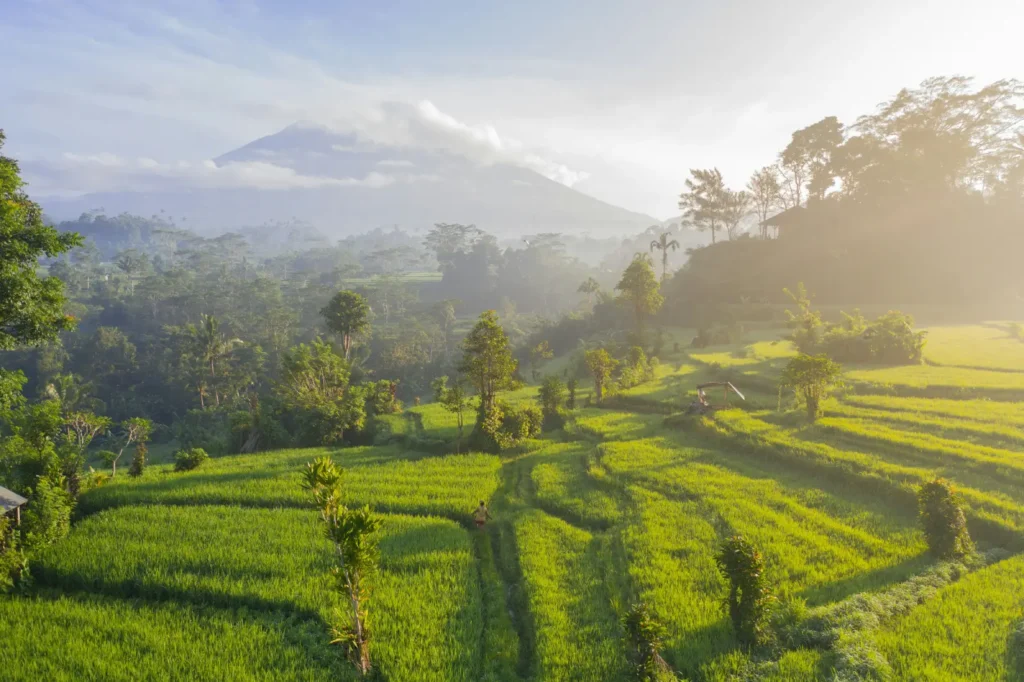 Scenic view of the greenest village