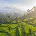 Scenic view of the greenest village